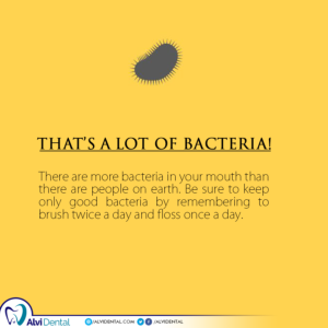 dental bacteria